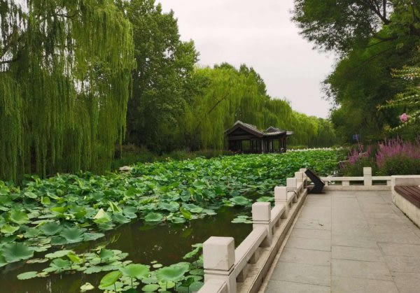 新街口地暖清洗附近小區(qū)住宅及小西天周邊街道就近上門(mén)